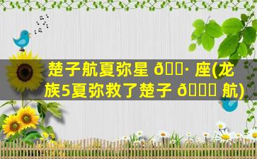 楚子航夏弥星 🌷 座(龙族5夏弥救了楚子 🐛 航)